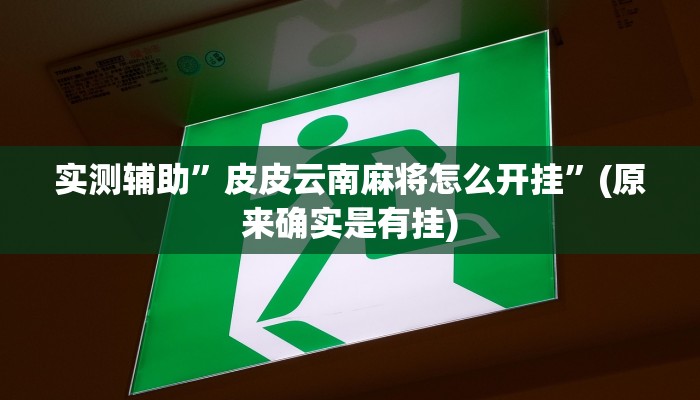 实测辅助”皮皮云南麻将怎么开挂”(原来确实是有挂)