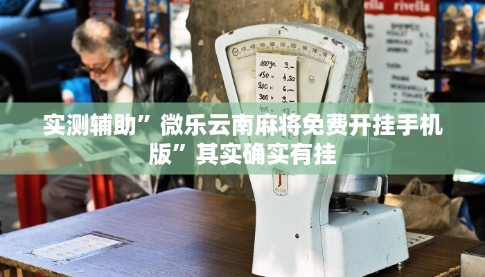 实测辅助”微乐云南麻将免费开挂手机版”其实确实有挂
