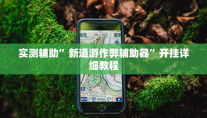 实测辅助”新道游作弊辅助器”开挂详细教程