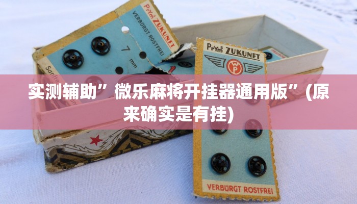 实测辅助”微乐麻将开挂器通用版”(原来确实是有挂)