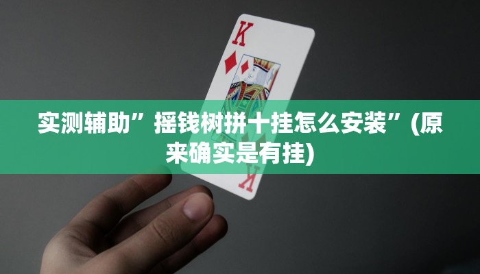 实测辅助”摇钱树拼十挂怎么安装”(原来确实是有挂)