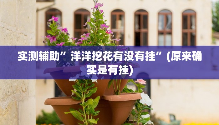 实测辅助”洋洋挖花有没有挂”(原来确实是有挂)