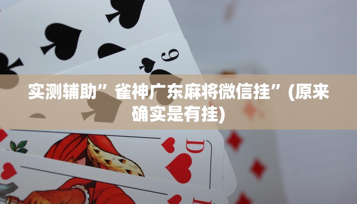 实测辅助”雀神广东麻将微信挂”(原来确实是有挂)