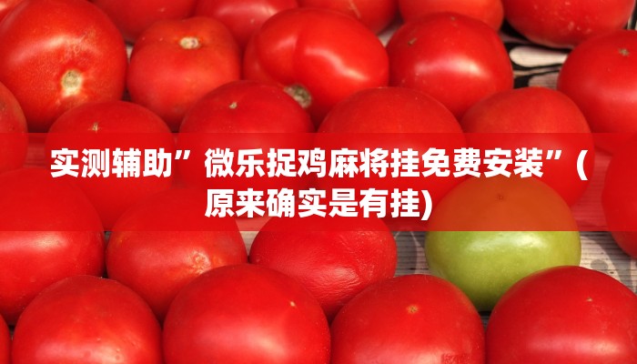 实测辅助”微乐捉鸡麻将挂免费安装”(原来确实是有挂)