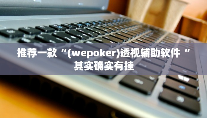 推荐一款“(wepoker)透视辅助软件“其实确实有挂