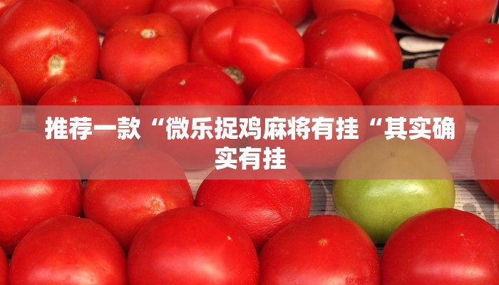 推荐一款“wepoker有没有透视“开挂详细教程