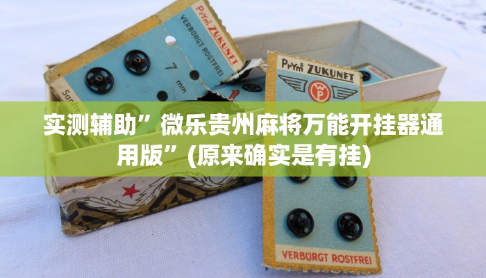 实测辅助”微乐贵州麻将万能开挂器通用版”(原来确实是有挂)