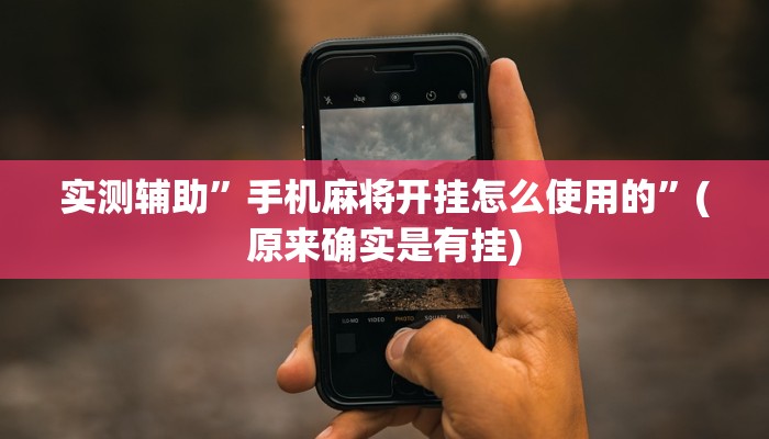 实测辅助”手机麻将开挂怎么使用的”(原来确实是有挂)