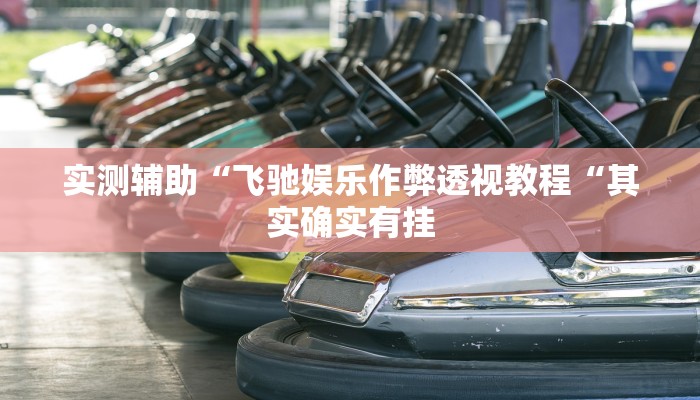 实测辅助“飞驰娱乐作弊透视教程“其实确实有挂