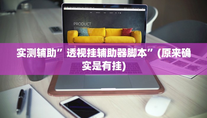 实测辅助”透视挂辅助器脚本”(原来确实是有挂)