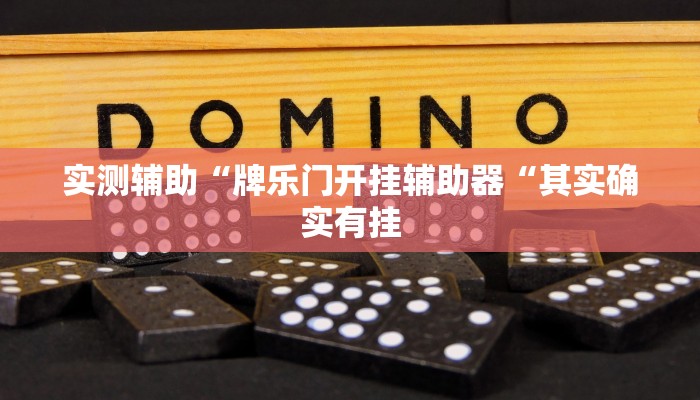 实测辅助“牌乐门开挂辅助器“其实确实有挂