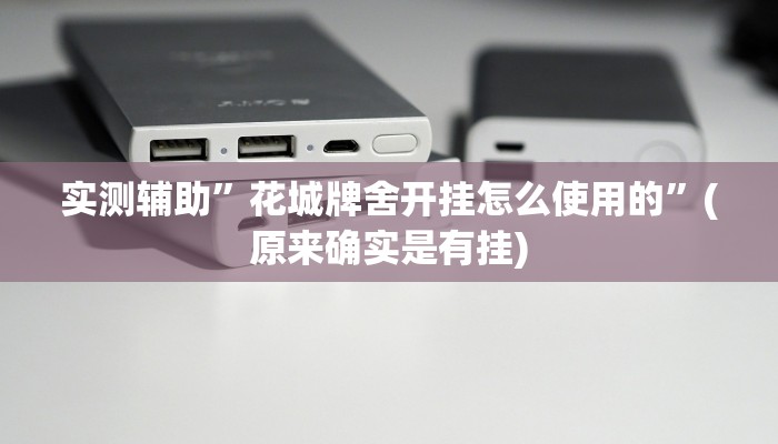 实测辅助”花城牌舍开挂怎么使用的”(原来确实是有挂)
