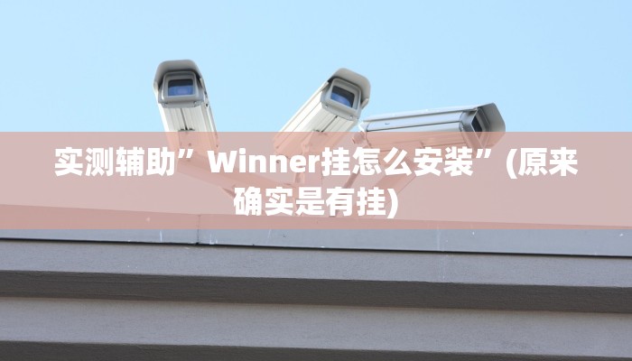 实测辅助”Winner挂怎么安装”(原来确实是有挂)
