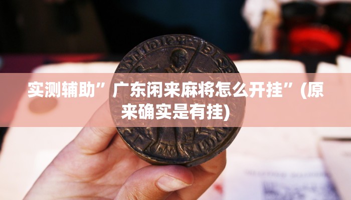 实测辅助”广东闲来麻将怎么开挂”(原来确实是有挂)