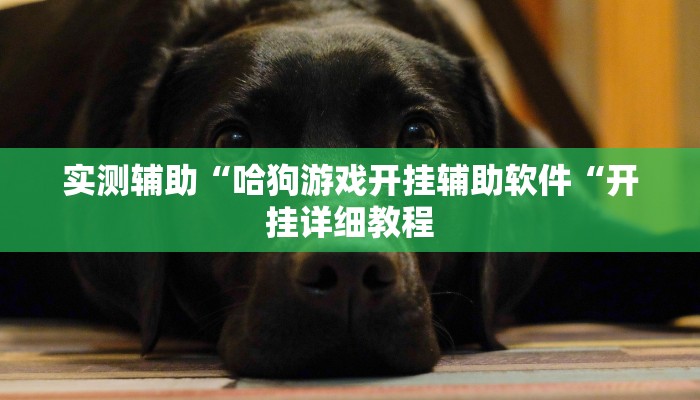 实测辅助“哈狗游戏开挂辅助软件“开挂详细教程