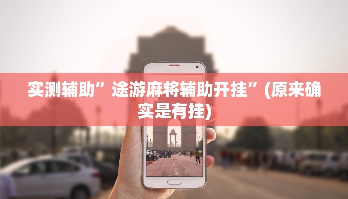 实测辅助”途游麻将辅助开挂”(原来确实是有挂)