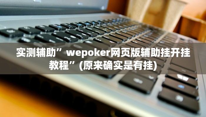 实测辅助”wepoker网页版辅助挂开挂教程”(原来确实是有挂)