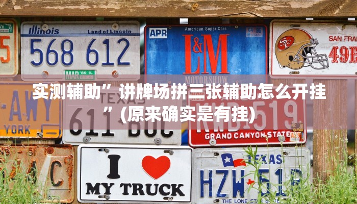 实测辅助”讲牌场拼三张辅助怎么开挂”(原来确实是有挂)