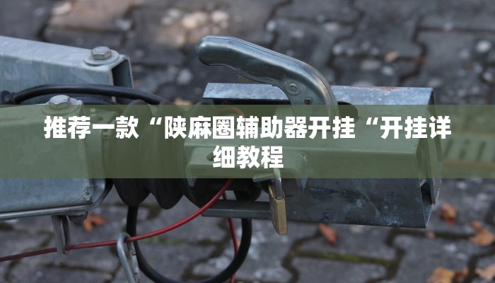 推荐一款“陕麻圈辅助器开挂“开挂详细教程