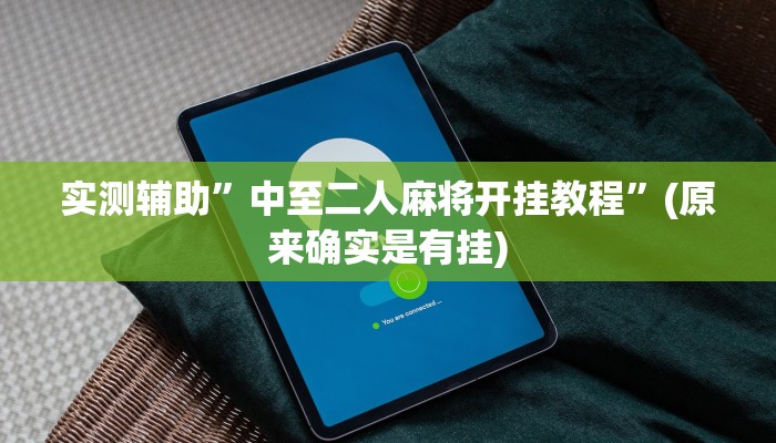实测辅助”中至二人麻将开挂教程”(原来确实是有挂)