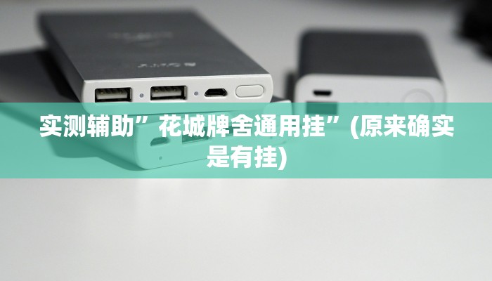 实测辅助”花城牌舍通用挂”(原来确实是有挂)