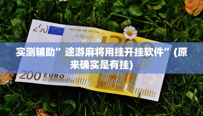 实测辅助”途游麻将用挂开挂软件”(原来确实是有挂)