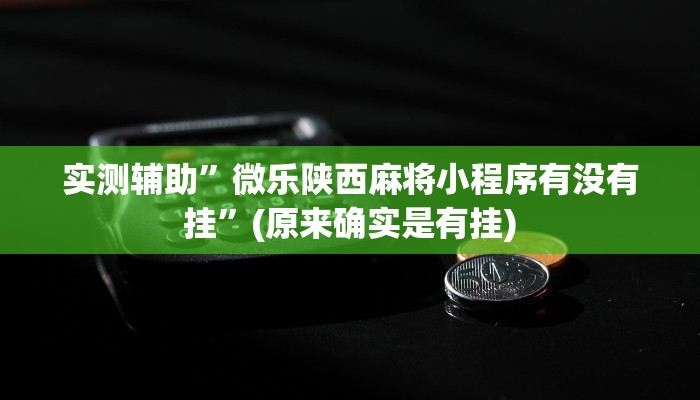 实测辅助”微乐陕西麻将小程序有没有挂”(原来确实是有挂)