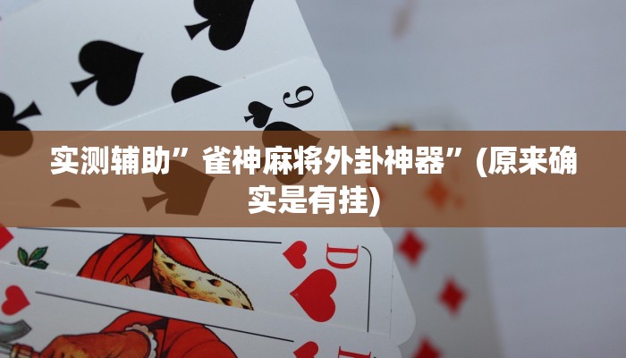 实测辅助”雀神麻将外卦神器”(原来确实是有挂)