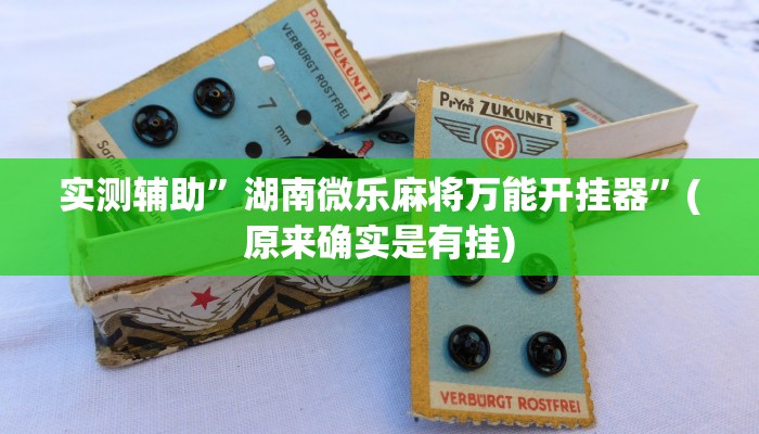 实测辅助”湖南微乐麻将万能开挂器”(原来确实是有挂)