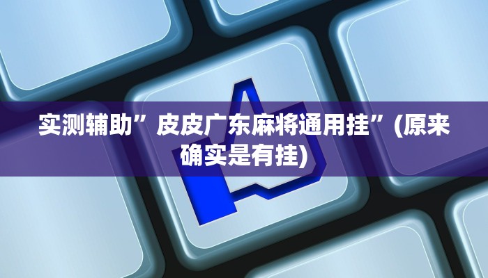 实测辅助”皮皮广东麻将通用挂”(原来确实是有挂)