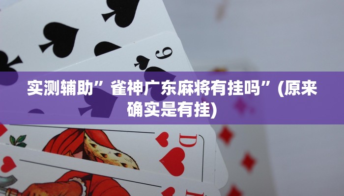 实测辅助”雀神广东麻将有挂吗”(原来确实是有挂)