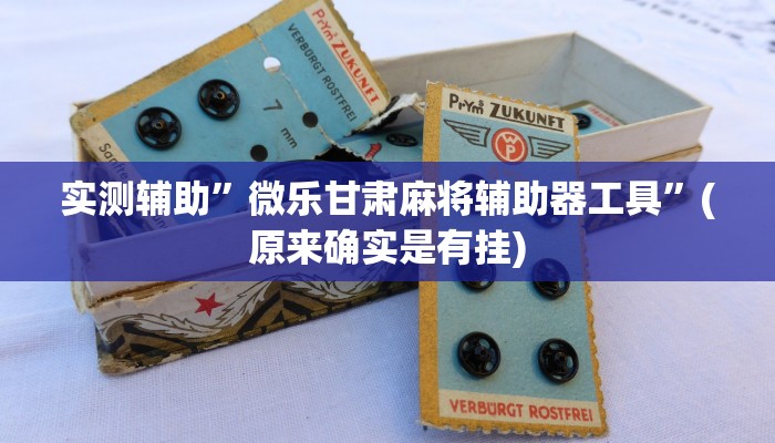 实测辅助”微乐甘肃麻将辅助器工具”(原来确实是有挂)