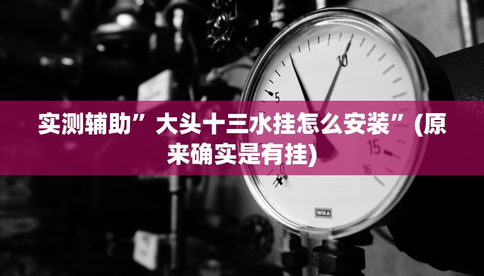 实测辅助”大头十三水挂怎么安装”(原来确实是有挂)