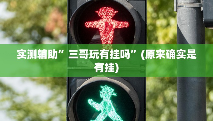 实测辅助”三哥玩有挂吗”(原来确实是有挂)