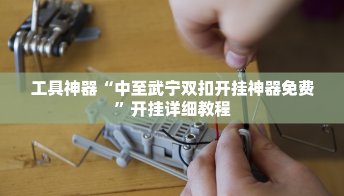 工具神器“中至武宁双扣开挂神器免费”开挂详细教程
