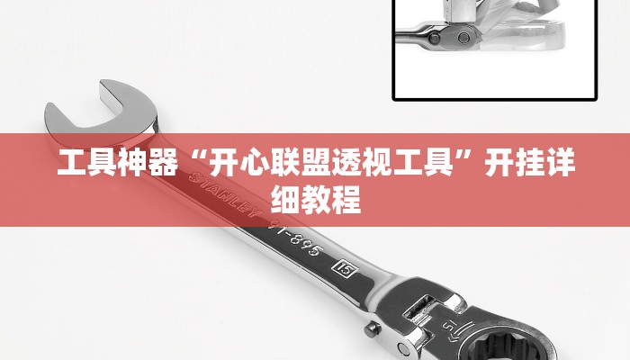 工具神器“开心联盟透视工具”开挂详细教程