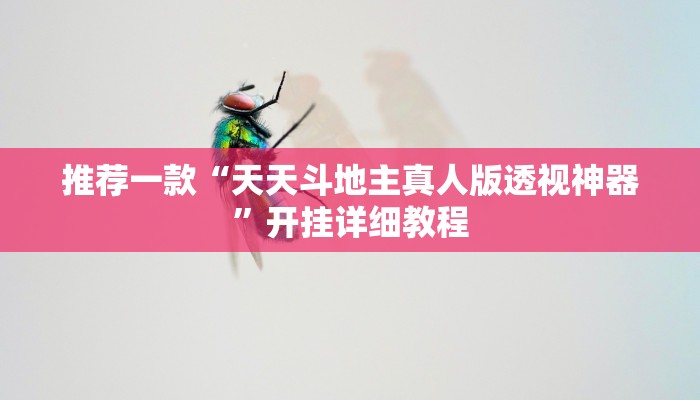 推荐一款“天天斗地主真人版透视神器”开挂详细教程