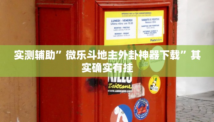 实测辅助”微乐斗地主外卦神器下载”其实确实有挂