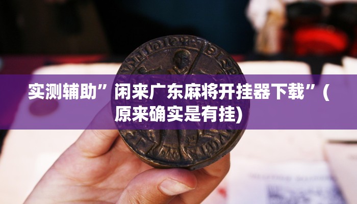 实测辅助”闲来广东麻将开挂器下载”(原来确实是有挂)