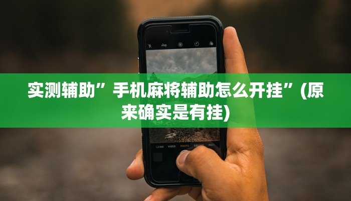 实测辅助”手机麻将辅助怎么开挂”(原来确实是有挂)