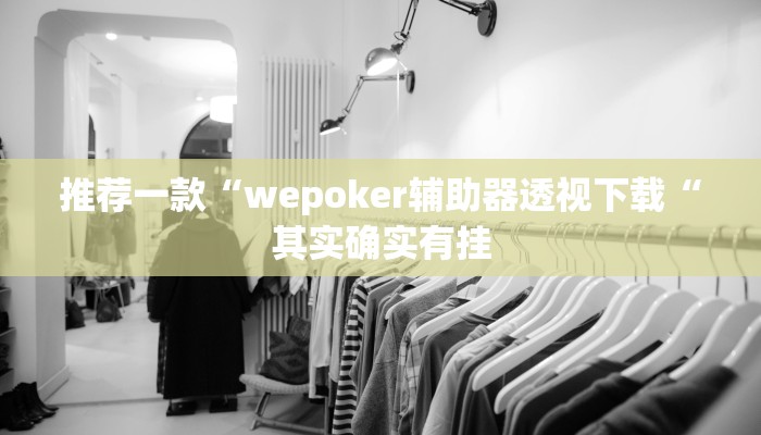推荐一款“wepoker辅助器透视下载“其实确实有挂