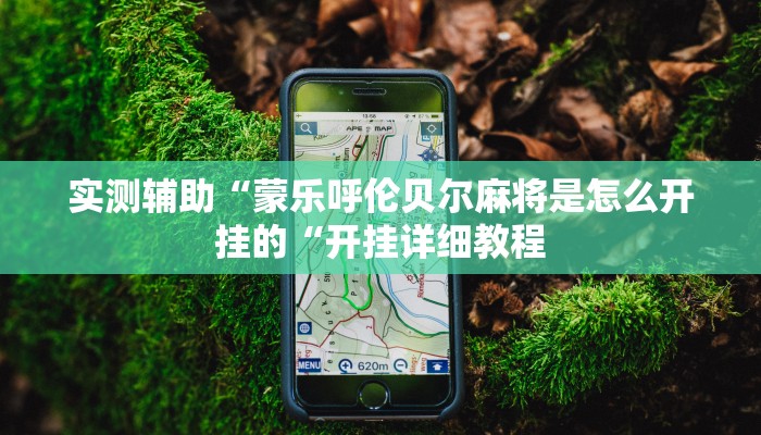 实测辅助“蒙乐呼伦贝尔麻将是怎么开挂的“开挂详细教程