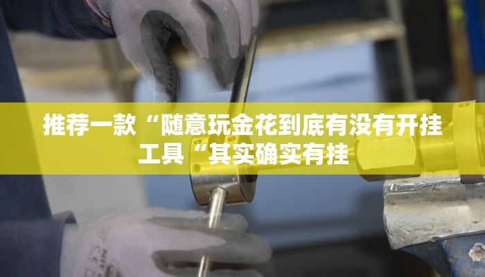 推荐一款“随意玩金花到底有没有开挂工具“其实确实有挂