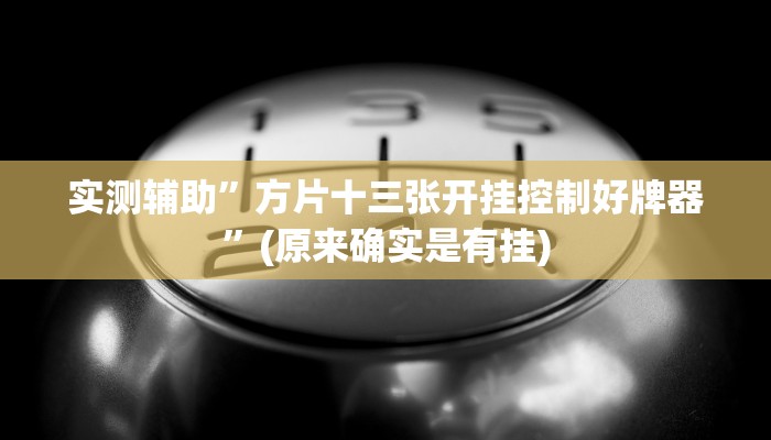 实测辅助”方片十三张开挂控制好牌器”(原来确实是有挂)