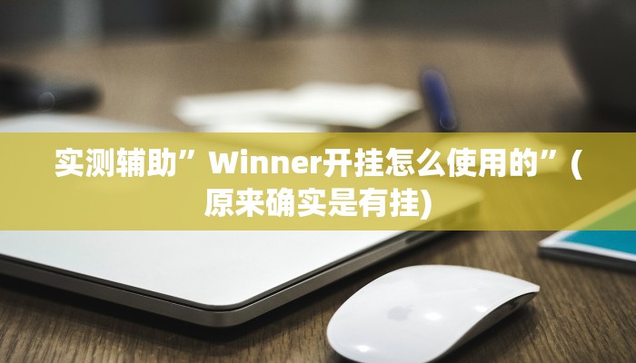 实测辅助”Winner开挂怎么使用的”(原来确实是有挂)