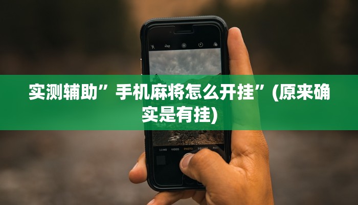 实测辅助”手机麻将怎么开挂”(原来确实是有挂)