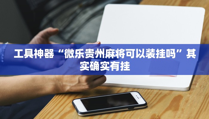 工具神器“微乐贵州麻将可以装挂吗”其实确实有挂