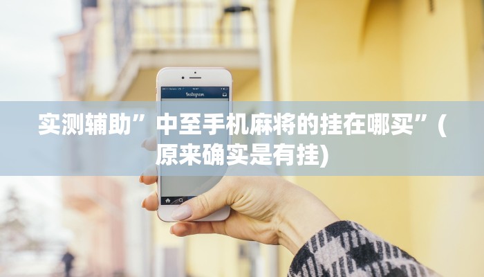 实测辅助”中至手机麻将的挂在哪买”(原来确实是有挂)