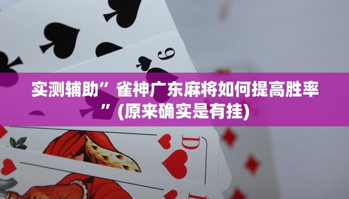 实测辅助”雀神广东麻将如何提高胜率”(原来确实是有挂)