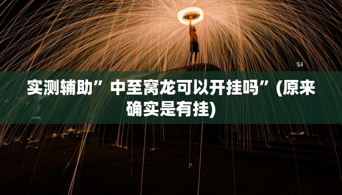 实测辅助”中至窝龙可以开挂吗”(原来确实是有挂)